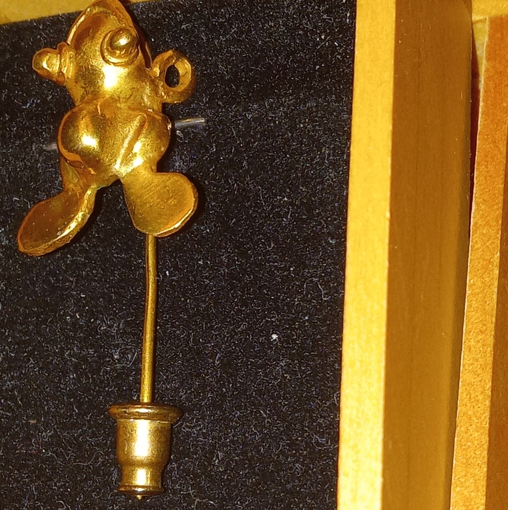 Frog Pin